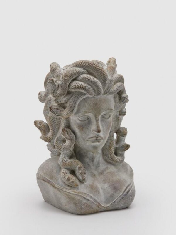 Comprar MACETERO hormigón Medusa
