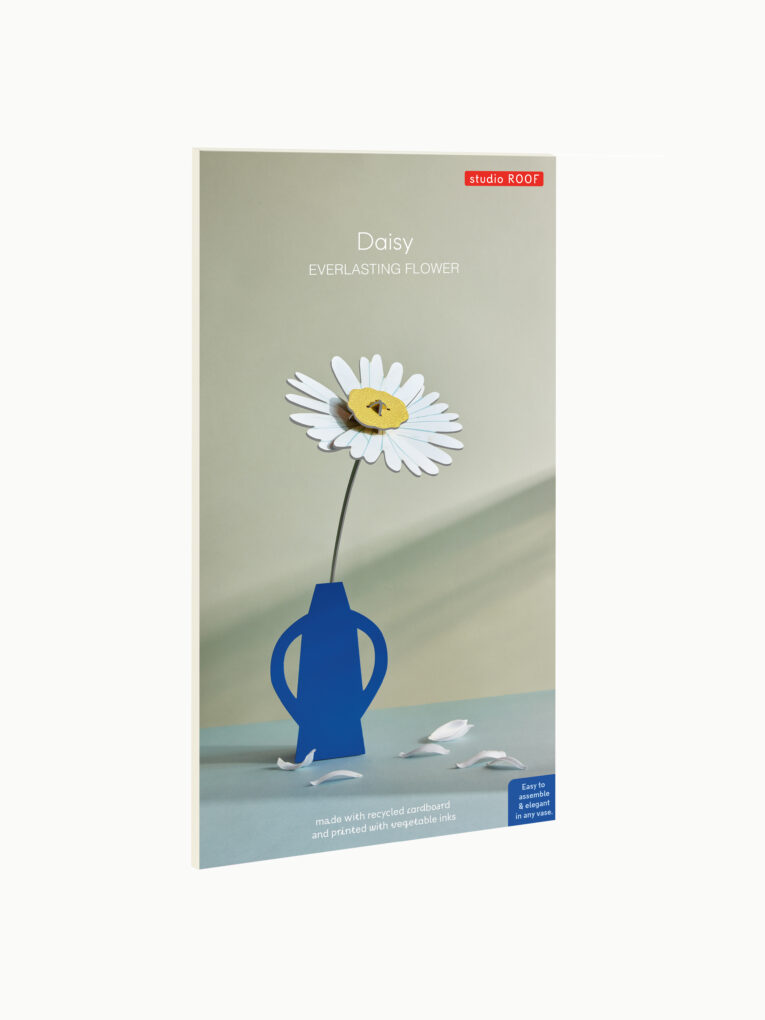 FLOR DAISY STUDIO ROOF