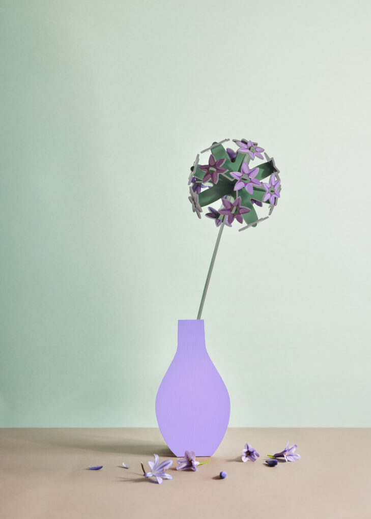 FLOR ALLIUM STUDIO ROOF