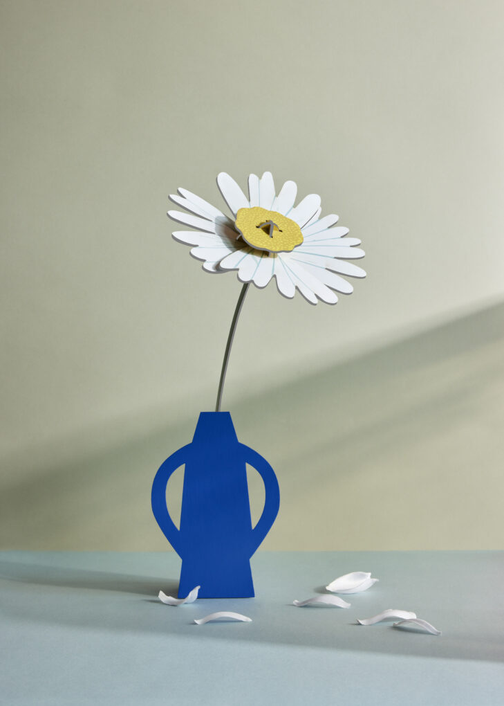 FLOR DAISY STUDIO ROOF