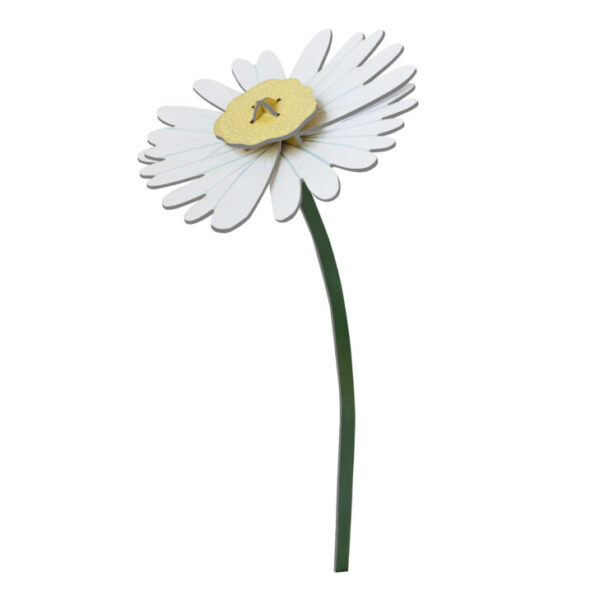 FLOR DAISY STUDIO ROOF