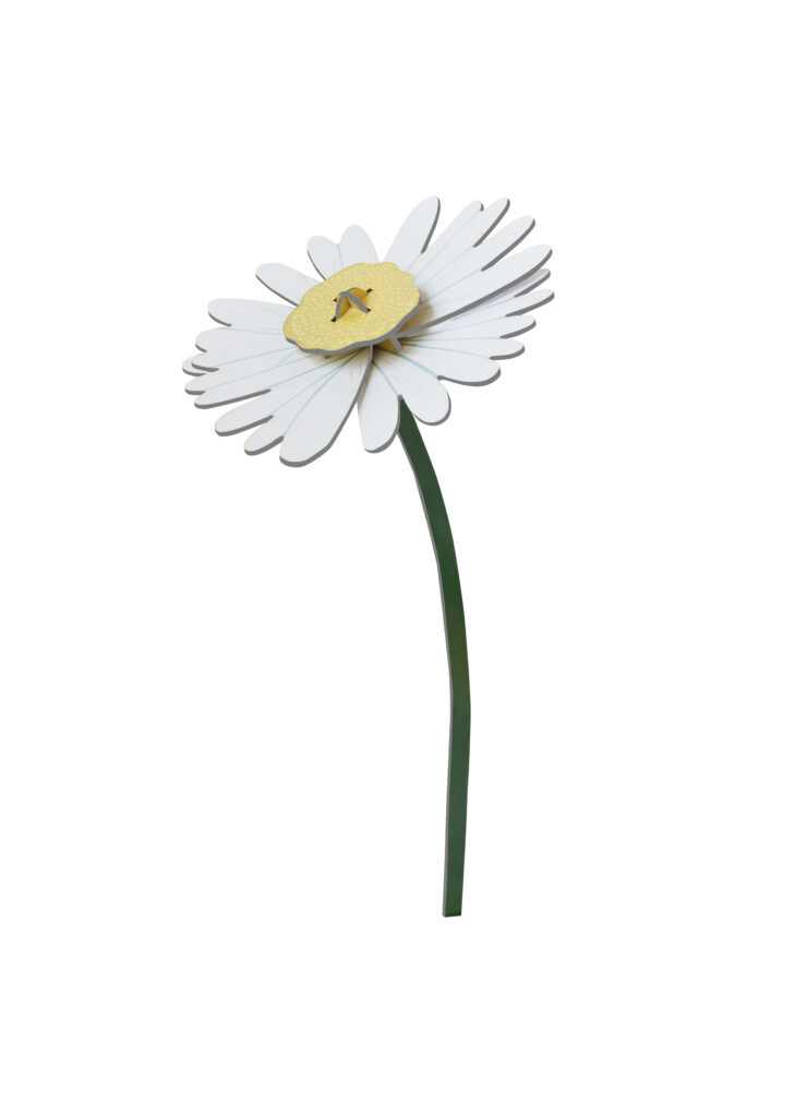 FLOR DAISY STUDIO ROOF