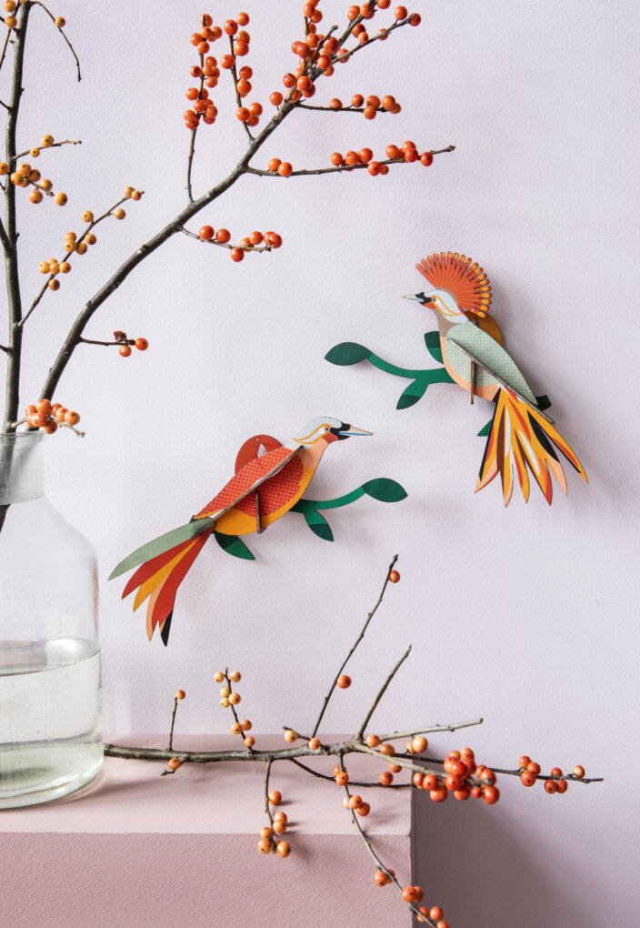 SET DE PAJAROS OBI