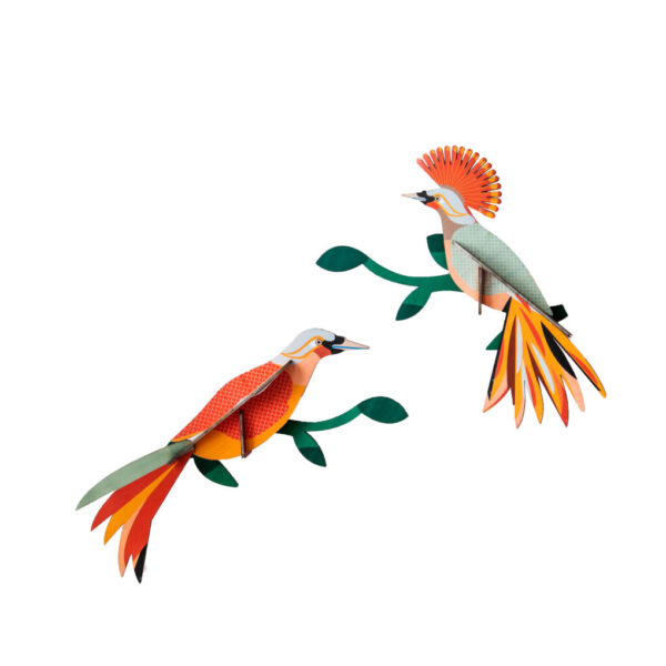 SET DE PAJAROS OBI