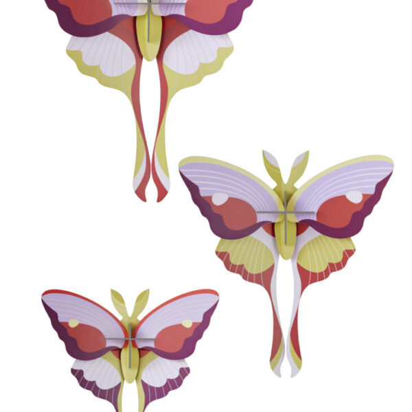 Set de 3 Mariposas Lilac Comet